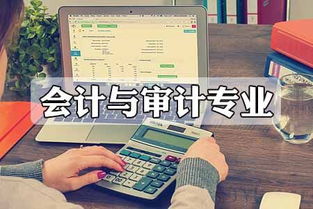 會計與審計專業(yè)競爭態(tài)勢分析 審計及稅務服務領域的角逐